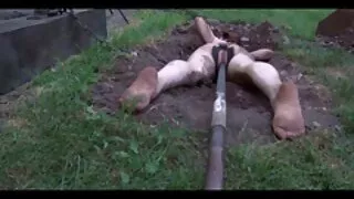 Блондинка вирішила еротичне відео безплатно зробити гарний хлопець вранці