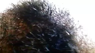 Чарівні блондинка пустотливий секс відео онлайн безкоштовно перед веб-камерою